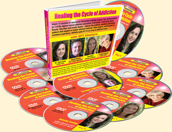 Healing the Cycle of Addictions DVD set
